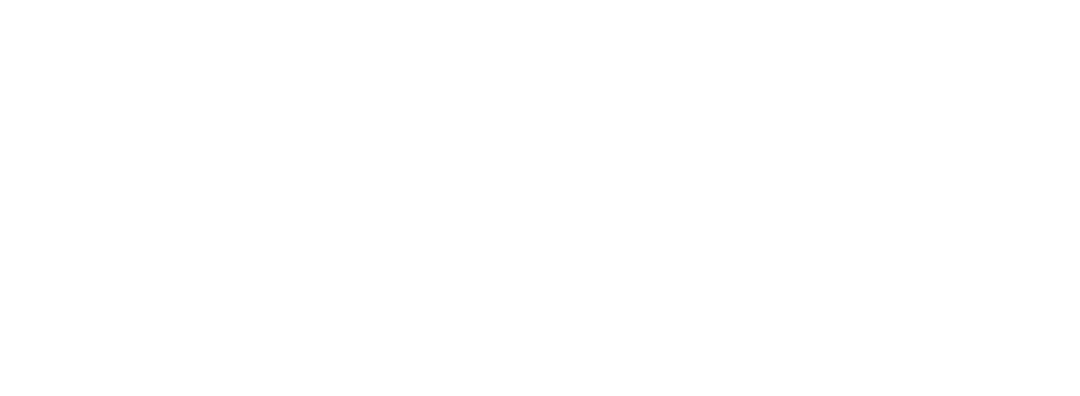 ZI-LASH.png